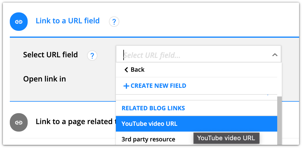 YouTube video url example