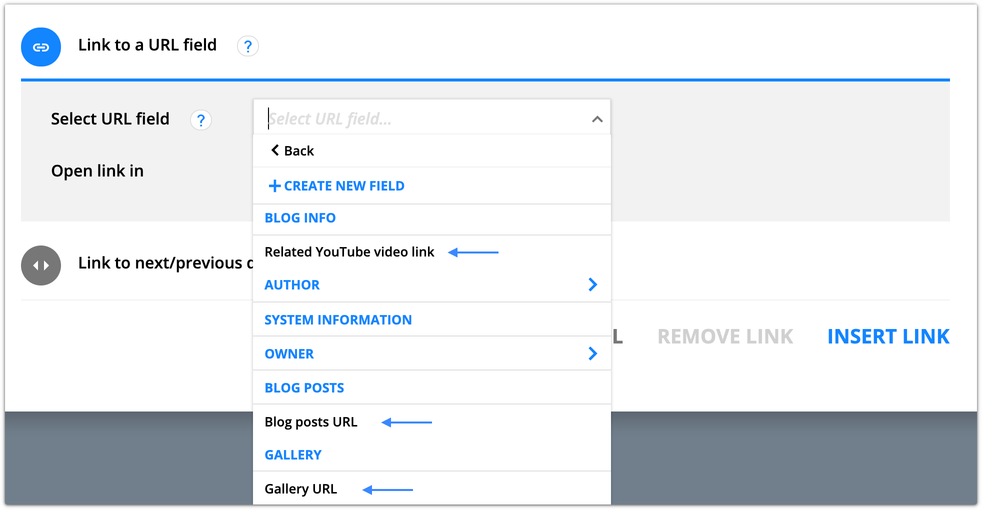 URL link options